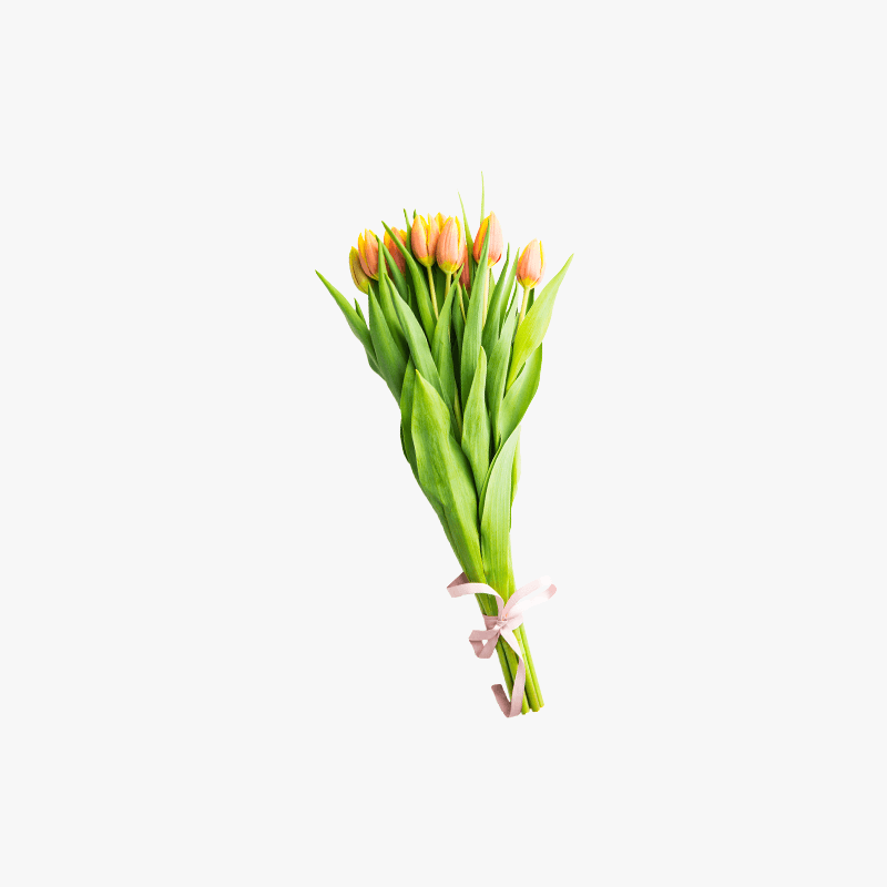 Dummy product name Flower