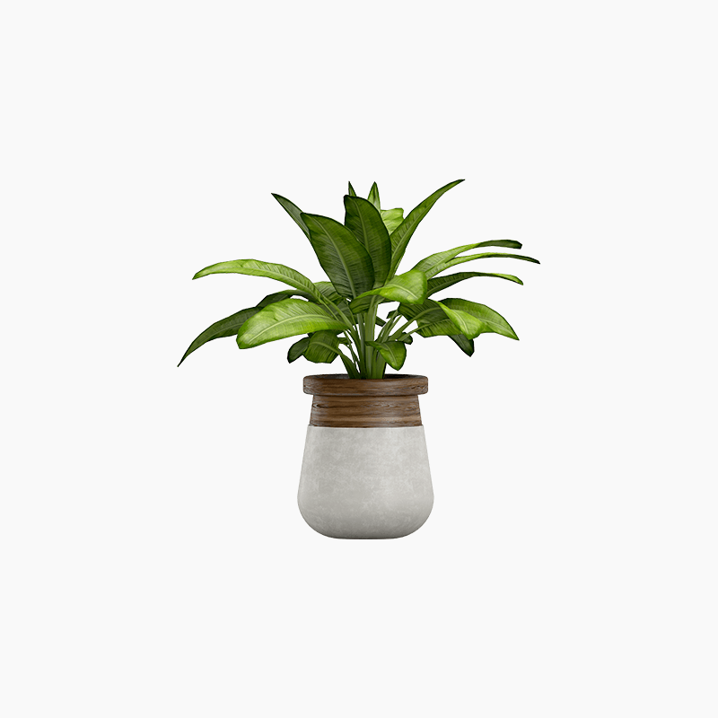 Demo product title