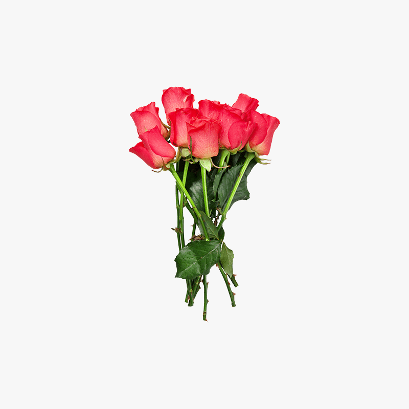 Demo product title Flower
