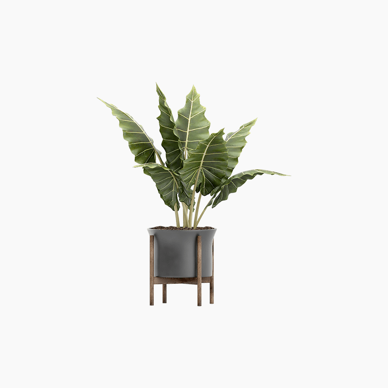 Demo product title