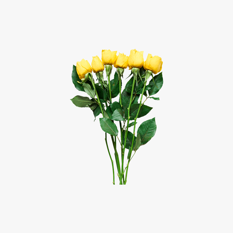 Dummy product name Flower