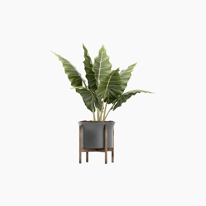 Demo product title