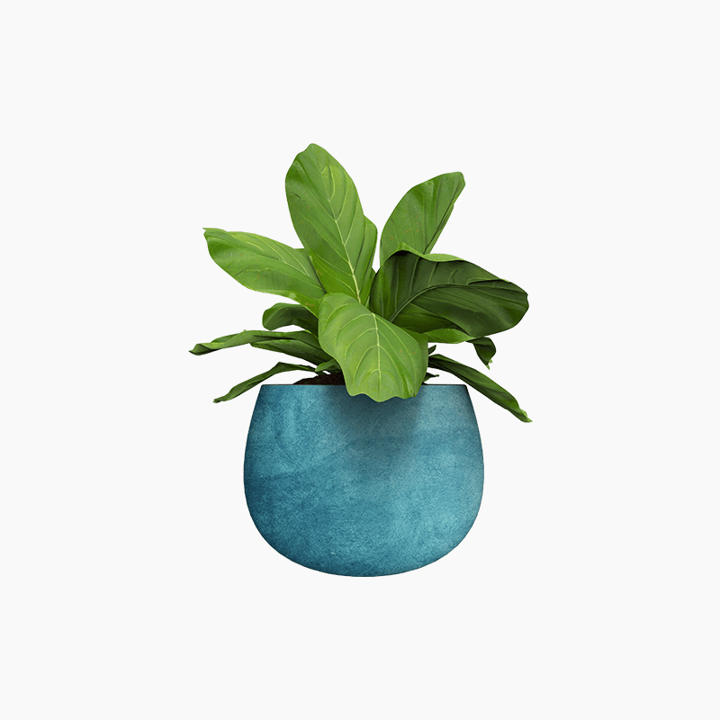 9. Without shortcode product