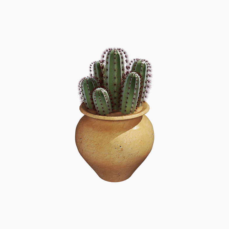 Demo product title
